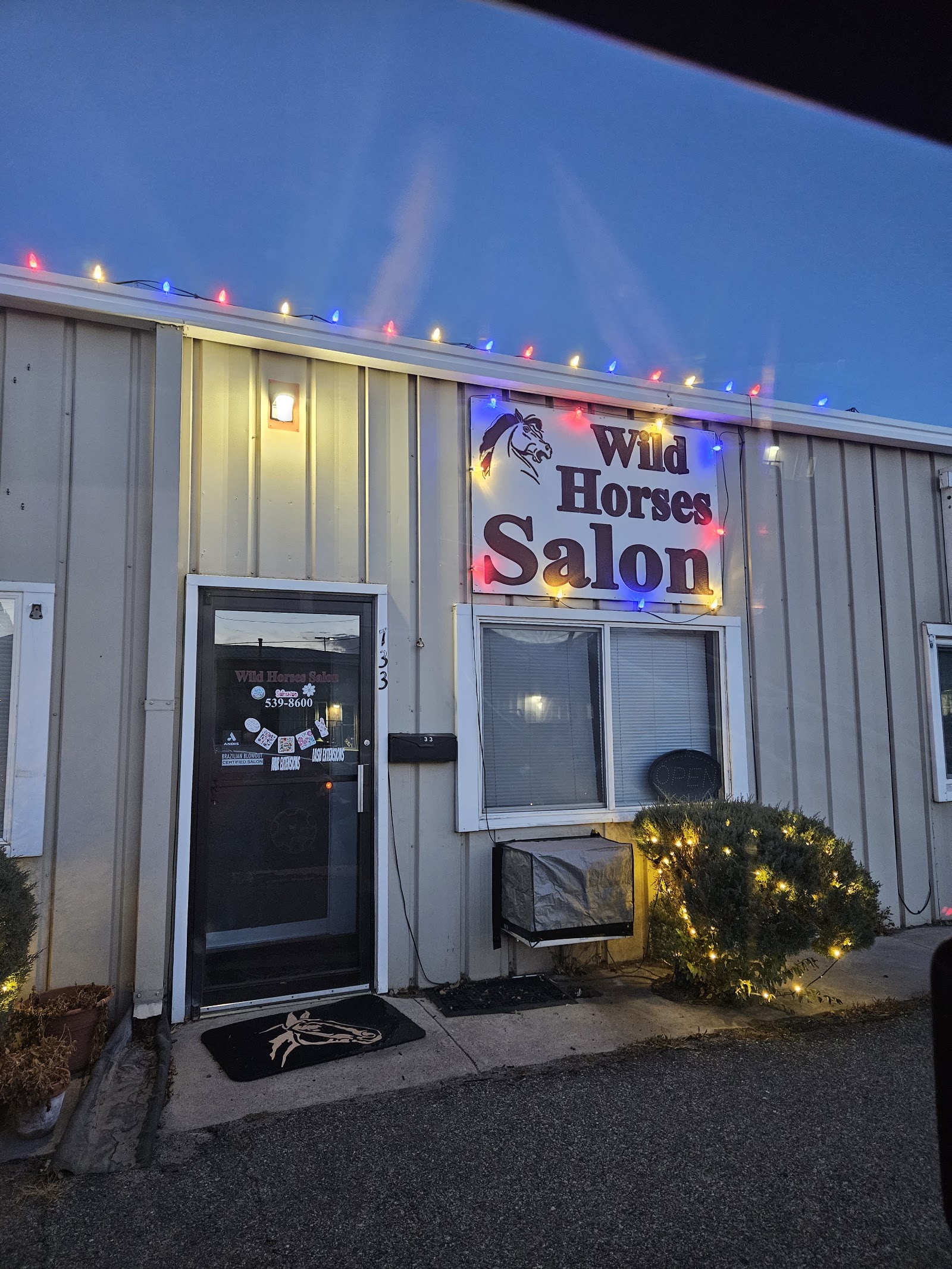 Wild Horses Salon Salida logo