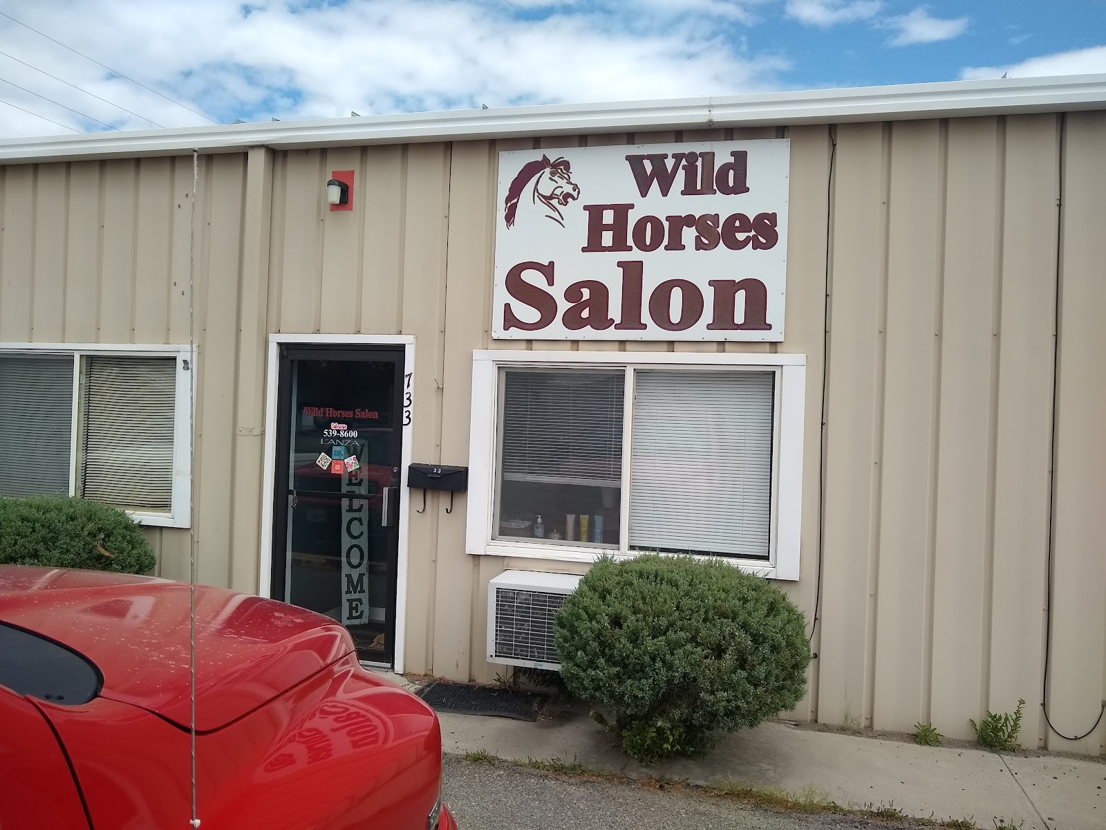 Wild Horses Salon Salida nail photo 2